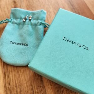 Tiffany & Co. Earrings Studs Elsa Peretti Color By The Yard Blue Aquamarines